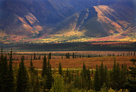 ae-Colorful Mountains Grass_3128