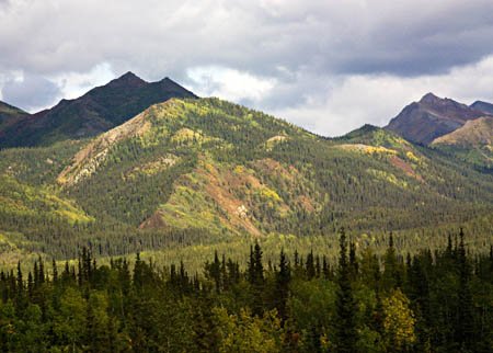 bc-Mountains Trees Color_3281