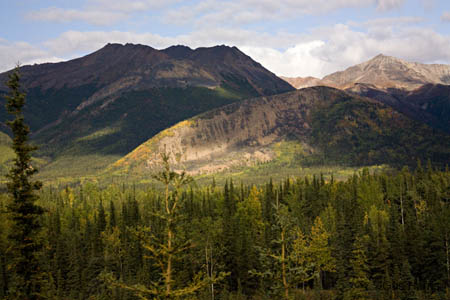 bh-Mountains Trees Sun_3267