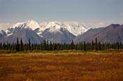 aw-Pretty Mountains Grass_3055