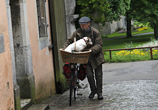 ar--Man Dog Bicycle Rothenburg-_3851