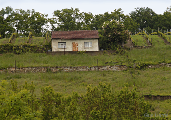 av--Tiny House Vineyards Hassfurt--_3703