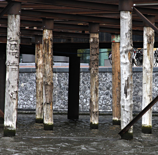 ba--Pilings Canal  Amsterdam_3978