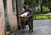 ar--Man Dog Bicycle Rothenburg-_3851