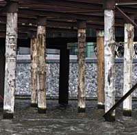 ba--Pilings Canal  Amsterdam_3978