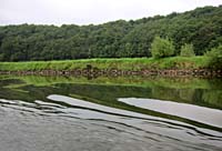 bn--River Bank Reflections--_8365