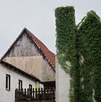 en--House Post Vines Hassfurt_8467