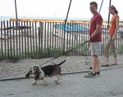 de-BeagleFenceBeach_6297