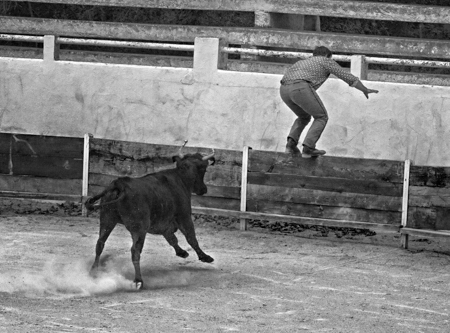 No Bull, Arles, France  2012