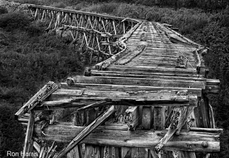 Track to Nowhere, Alaska, 2009