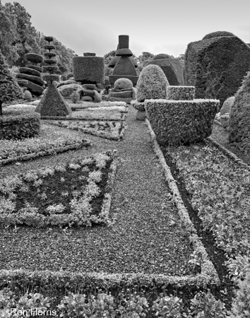 Levens Hall Gardens, England 2017