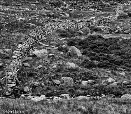 Snowdonia Nat Park Two 2017