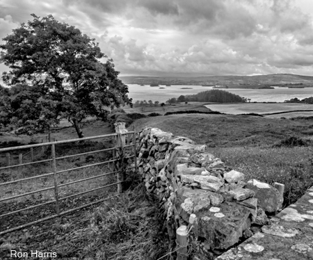 Stone Wall, Ireland 2016