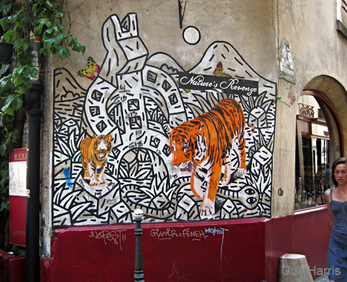 bv_Tiger Wall Mural_2418