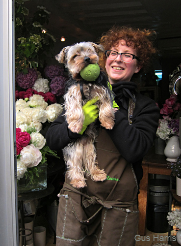 cc_Flower Shop Dog Green Ball_1977