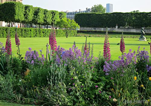 ch_Flowers Tuilleries_2036