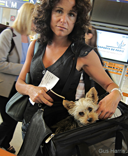 cu_Doggie At Airport_2702