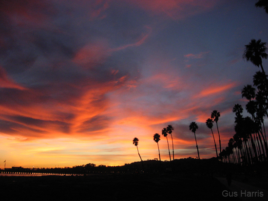 bh Red Cloud Sunset Palms_7767