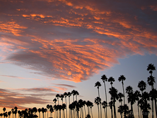 cv  Washboard Clouds Trees_2854