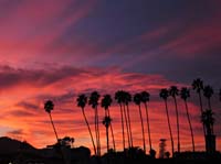 ay Palms Red Cloud Background_3645