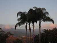 cp Palms Mountains Peach Clouds_8010