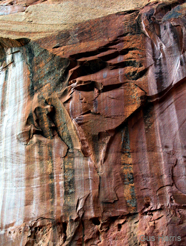 af--Stone Face Capital Reef--D30IMG_1085