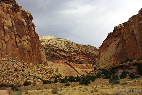 ai--Utah Burr Trail_0997