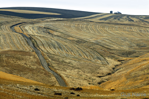 bwa--Van bw--Gogh Fields Palouse Columbia Riv Gorge--DC1T6945