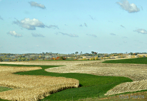 cd--Swirling Cornfields Wisconsin--DC1T9694