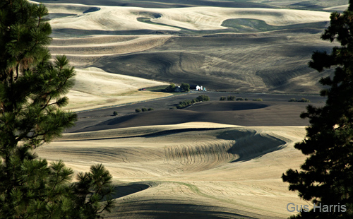 ch--House in the Palouse Washington--DC1T6784