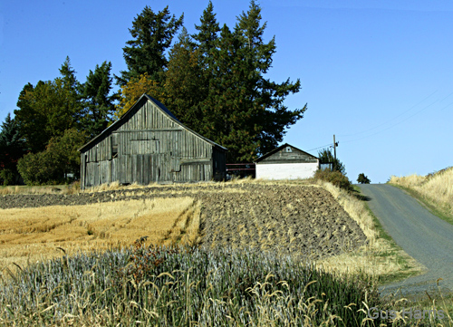 cm--Barn Field Road Palouse near Colfax--DC1T6858