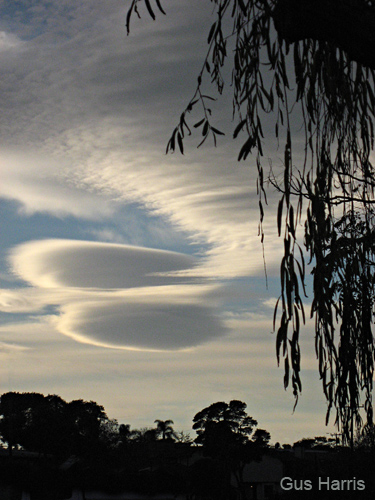 cx--Lenticular Clouds Tree Leaves SB_7865