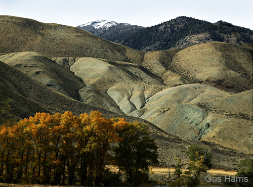 dob--Sawtooth Mountains Idaho-- DC1T1038