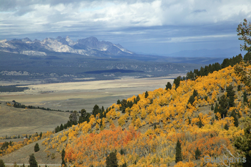 dxa--Aspens Salmon River near Ketchum Idaho--DC1T0956