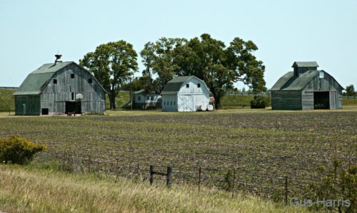 eb--Three Barns Between Chicago and LA--DC1T3636