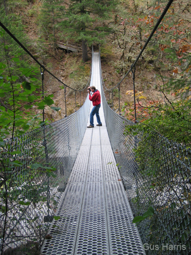 gbb--Ron Photographing On Swing Bridge Oregon_1873