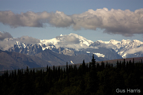 gca--Mountains Trees Clouds Alaska_IMG_2909