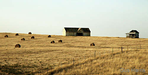 hh--Barn House Hay Bales--DC1T7535