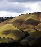 as--Beautiful Hills Carmel ValleyDC1T0107 