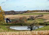 ca--House Pond Cornfields Lancas Wis Near Corn Maze--DC1T9753