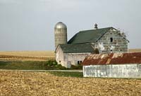 cb--Barns Silo Cornfield Minnesota--DC1T8132