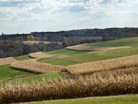 cca--Cornfields Swirling Wisconsin--DC1T9900