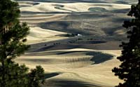 ch--House in the Palouse Washington--DC1T6784