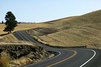 cib--Curving Road Hills Palouse--DC1T6731