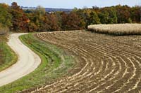 cma--Winding Cornfields Wisconsin--DC1T9808