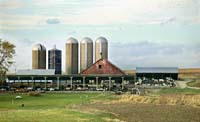 cob--Cows Barn Silos--DC1T0415