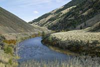 doc--Salmon River Mountains Idaho--DC1T1022