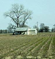 ee--Small House Cottonfield Road To LA--DC1T3382