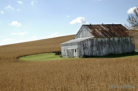 aw Tin Roof House--DC1T9826