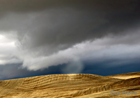 bd Wheat Field Clouds Palouse 8081